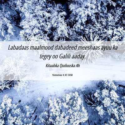 Picture 06 - Yooxanaa 4:43 SOM - Labadaas maalmood dabadeed meeshaas ayuu ka tegey - Bible Verse Picture