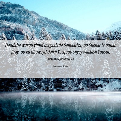 Picture 06 - Yooxanaa 4:5 SOM - Haddaba wuxuu yimid magaalada Samaariya, oo - Bible Verse Picture