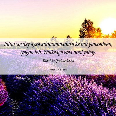 Picture 06 - Yooxanaa 4:51 SOM - Intuu socday ayaa addoommadiisii ka hor - Bible Verse Picture