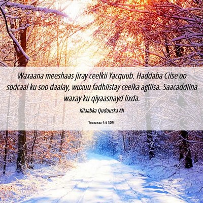 Picture 06 - Yooxanaa 4:6 SOM - Waxaana meeshaas jiray ceelkii Yacquub. Haddaba - Bible Verse Picture