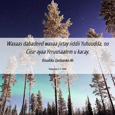 Picture 06 - Yooxanaa 5:1 SOM - Waxaas dabadeed waxaa jirtay iiddii Yuhuudda, oo - Bible Verse Picture