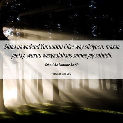 Picture 06 - Yooxanaa 5:16 SOM - Sidaa aawadeed Yuhuuddu Ciise way silciyeen, - Bible Verse Picture
