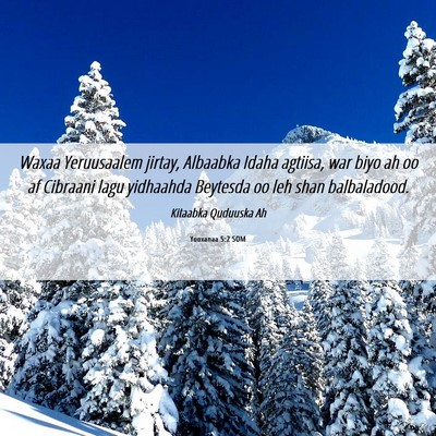 Picture 06 - Yooxanaa 5:2 SOM - Waxaa Yeruusaalem jirtay, Albaabka Idaha agtiisa, - Bible Verse Picture