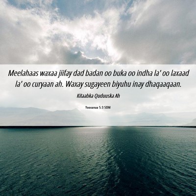 Picture 06 - Yooxanaa 5:3 SOM - Meelahaas waxaa jiifay dad badan oo buka oo indha - Bible Verse Picture