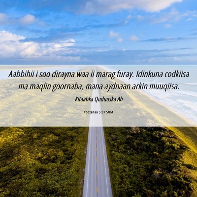 Picture 06 - Yooxanaa 5:37 SOM - Aabbihii i soo dirayna waa ii marag furay. - Bible Verse Picture