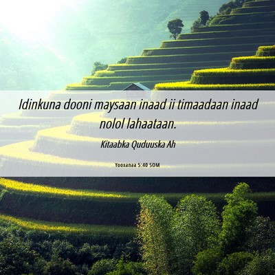 Picture 06 - Yooxanaa 5:40 SOM - Idinkuna dooni maysaan inaad ii timaadaan inaad - Bible Verse Picture