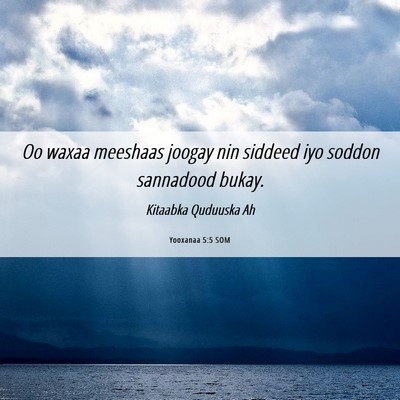 Picture 06 - Yooxanaa 5:5 SOM - Oo waxaa meeshaas joogay nin siddeed iyo soddon - Bible Verse Picture