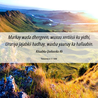 Picture 06 - Yooxanaa 6:12 SOM - Markay wada dhergeen, wuxuu xertiisii ku yidhi, - Bible Verse Picture