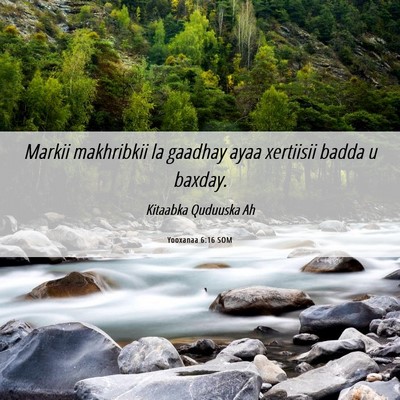 Picture 06 - Yooxanaa 6:16 SOM - Markii makhribkii la gaadhay ayaa xertiisii badda - Bible Verse Picture