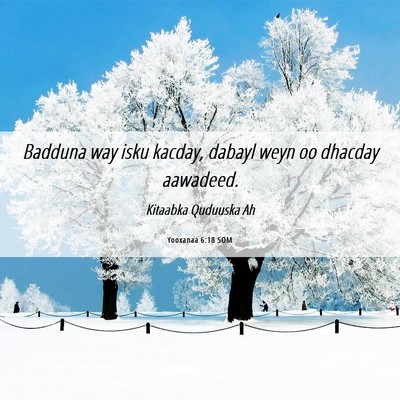 Picture 06 - Yooxanaa 6:18 SOM - Badduna way isku kacday, dabayl weyn oo dhacday - Bible Verse Picture