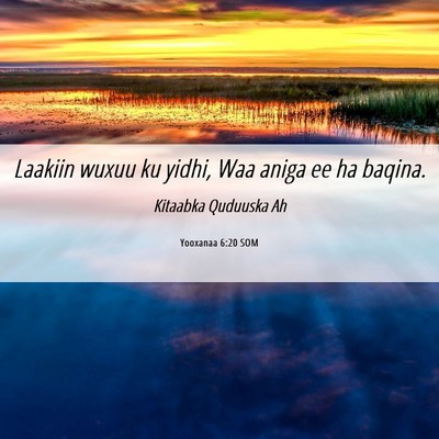 Picture 06 - Yooxanaa 6:20 SOM - Laakiin wuxuu ku yidhi, Waa aniga ee ha - Bible Verse Picture