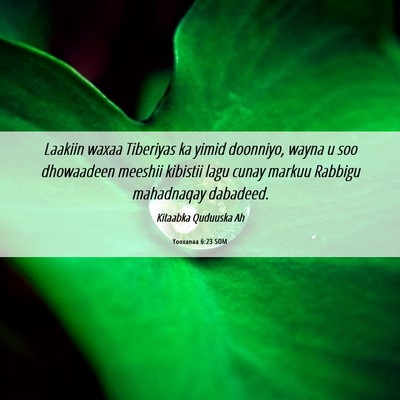 Picture 06 - Yooxanaa 6:23 SOM - Laakiin waxaa Tiberiyas ka yimid doonniyo, wayna - Bible Verse Picture
