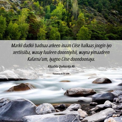 Picture 06 - Yooxanaa 6:24 SOM - Markii dadkii badnaa arkeen inaan Ciise halkaas - Bible Verse Picture