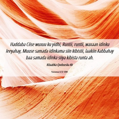 Picture 06 - Yooxanaa 6:32 SOM - Haddaba Ciise wuxuu ku yidhi, Runtii, runtii, - Bible Verse Picture