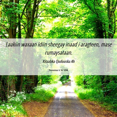 Picture 06 - Yooxanaa 6:36 SOM - Laakiin waxaan idiin sheegay inaad i aragteen, - Bible Verse Picture