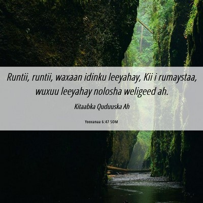 Picture 06 - Yooxanaa 6:47 SOM - Runtii, runtii, waxaan idinku leeyahay, Kii i - Bible Verse Picture