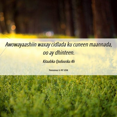 Picture 06 - Yooxanaa 6:49 SOM - Awowayaashiin waxay cidlada ku cuneen maannada, - Bible Verse Picture