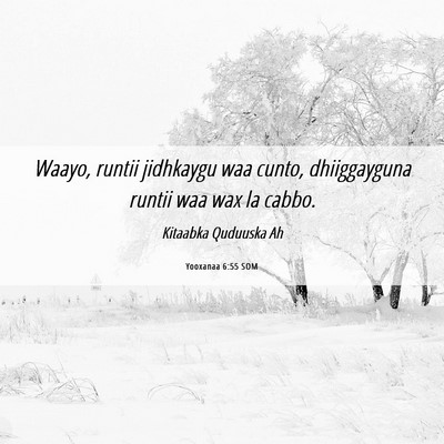 Picture 06 - Yooxanaa 6:55 SOM - Waayo, runtii jidhkaygu waa cunto, dhiiggayguna - Bible Verse Picture
