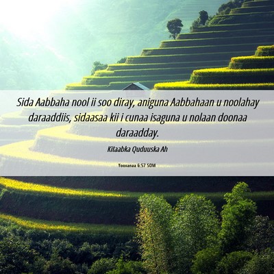 Picture 06 - Yooxanaa 6:57 SOM - Sida Aabbaha nool ii soo diray, aniguna Aabbahaan - Bible Verse Picture