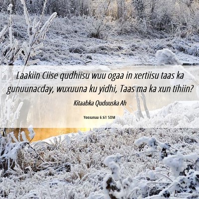 Picture 06 - Yooxanaa 6:61 SOM - Laakiin Ciise qudhiisu wuu ogaa in xertiisu taas - Bible Verse Picture