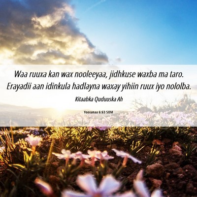 Picture 06 - Yooxanaa 6:63 SOM - Waa ruuxa kan wax nooleeyaa, jidhkuse waxba ma - Bible Verse Picture