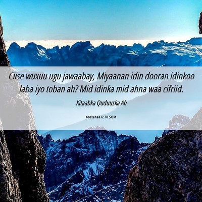 Picture 06 - Yooxanaa 6:70 SOM - Ciise wuxuu ugu jawaabay, Miyaanan idin dooran - Bible Verse Picture