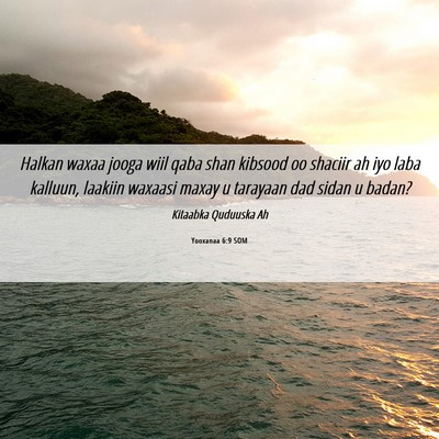 Picture 06 - Yooxanaa 6:9 SOM - Halkan waxaa jooga wiil qaba shan kibsood oo - Bible Verse Picture
