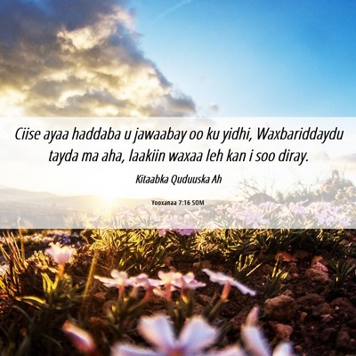 Picture 06 - Yooxanaa 7:16 SOM - Ciise ayaa haddaba u jawaabay oo ku yidhi, - Bible Verse Picture