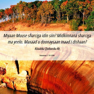 Picture 06 - Yooxanaa 7:19 SOM - Miyaan Muuse sharciga idin siin? Midkiinnana - Bible Verse Picture