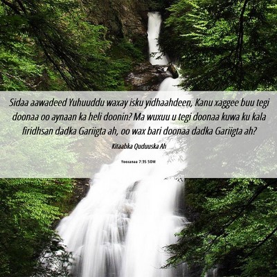 Picture 06 - Yooxanaa 7:35 SOM - Sidaa aawadeed Yuhuuddu waxay isku yidhaahdeen, - Bible Verse Picture