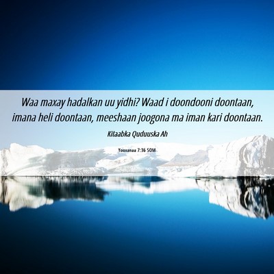 Picture 06 - Yooxanaa 7:36 SOM - Waa maxay hadalkan uu yidhi? Waad i doondooni - Bible Verse Picture