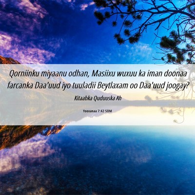 Picture 06 - Yooxanaa 7:42 SOM - Qorniinku miyaanu odhan, Masiixu wuxuu ka iman - Bible Verse Picture