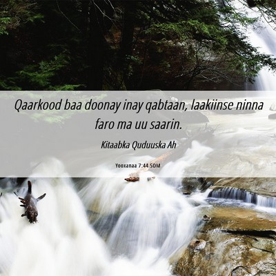 Picture 06 - Yooxanaa 7:44 SOM - Qaarkood baa doonay inay qabtaan, laakiinse ninna - Bible Verse Picture