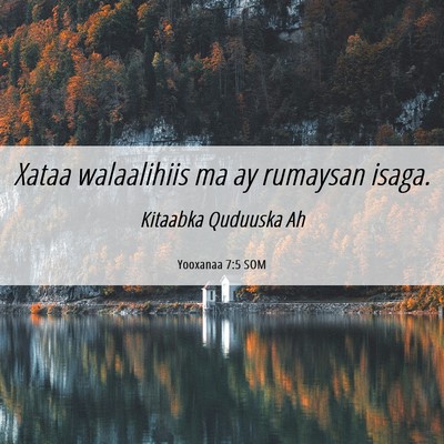 Picture 06 - Yooxanaa 7:5 SOM - Xataa walaalihiis ma ay rumaysan - Bible Verse Picture