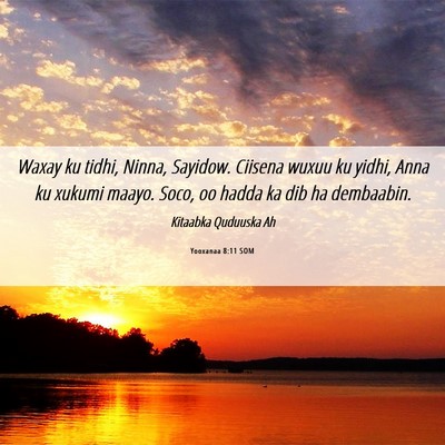 Picture 06 - Yooxanaa 8:11 SOM - Waxay ku tidhi, Ninna, Sayidow. Ciisena wuxuu ku - Bible Verse Picture