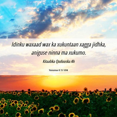 Picture 06 - Yooxanaa 8:15 SOM - Idinku waxaad wax ka xukuntaan xagga jidhka, - Bible Verse Picture