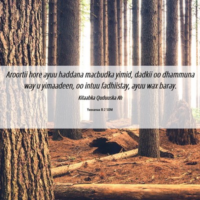 Picture 06 - Yooxanaa 8:2 SOM - Aroortii hore ayuu haddana macbudka yimid, dadkii - Bible Verse Picture