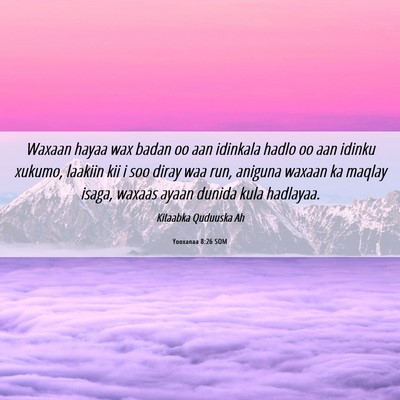 Picture 06 - Yooxanaa 8:26 SOM - Waxaan hayaa wax badan oo aan idinkala hadlo oo - Bible Verse Picture