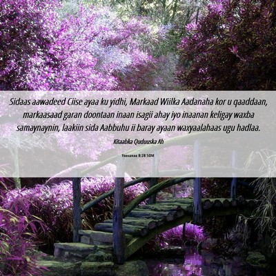 Picture 06 - Yooxanaa 8:28 SOM - Sidaas aawadeed Ciise ayaa ku yidhi, Markaad - Bible Verse Picture