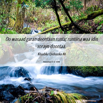 Picture 06 - Yooxanaa 8:32 SOM - Oo waxaad garan doontaan runta; runtiina waa idin - Bible Verse Picture
