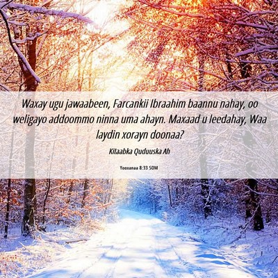 Picture 06 - Yooxanaa 8:33 SOM - Waxay ugu jawaabeen, Farcankii Ibraahim baannu - Bible Verse Picture