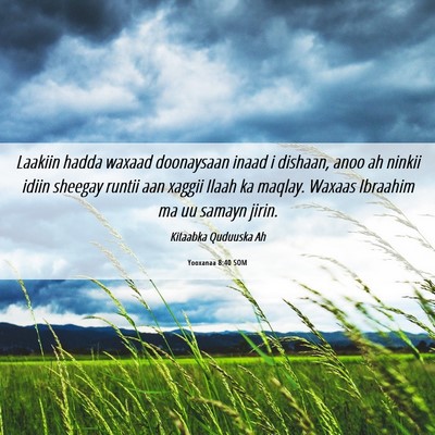 Picture 06 - Yooxanaa 8:40 SOM - Laakiin hadda waxaad doonaysaan inaad i dishaan, - Bible Verse Picture
