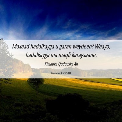 Picture 06 - Yooxanaa 8:43 SOM - Maxaad hadalkayga u garan weydeen? Waayo, - Bible Verse Picture