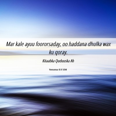 Picture 06 - Yooxanaa 8:8 SOM - Mar kale ayuu foororsaday, oo haddana dhulka wax - Bible Verse Picture