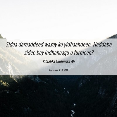 Picture 06 - Yooxanaa 9:10 SOM - Sidaa daraaddeed waxay ku yidhaahdeen, Haddaba - Bible Verse Picture