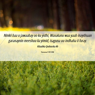 Picture 06 - Yooxanaa 9:30 SOM - Ninkii baa u jawaabay oo ku yidhi, Waxakanu waa - Bible Verse Picture