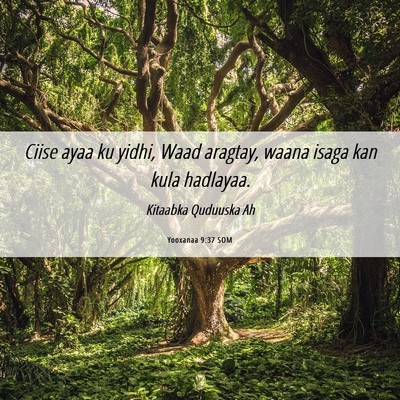 Picture 06 - Yooxanaa 9:37 SOM - Ciise ayaa ku yidhi, Waad aragtay, waana isaga - Bible Verse Picture