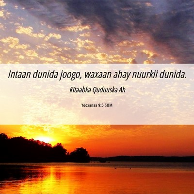 Picture 06 - Yooxanaa 9:5 SOM - Intaan dunida joogo, waxaan ahay nuurkii - Bible Verse Picture