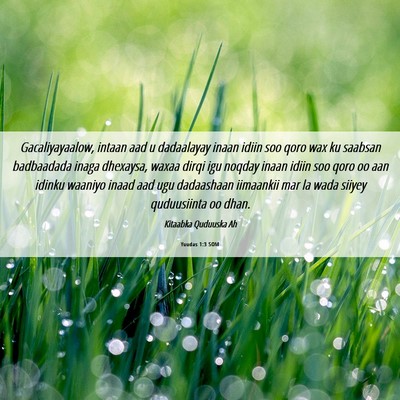 Picture 06 - Yuudas 1:3 SOM - Gacaliyayaalow, intaan aad u dadaalayay inaan - Bible Verse Picture