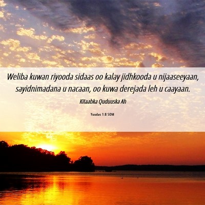 Picture 06 - Yuudas 1:8 SOM - Weliba kuwan riyooda sidaas oo kalay jidhkooda u - Bible Verse Picture
